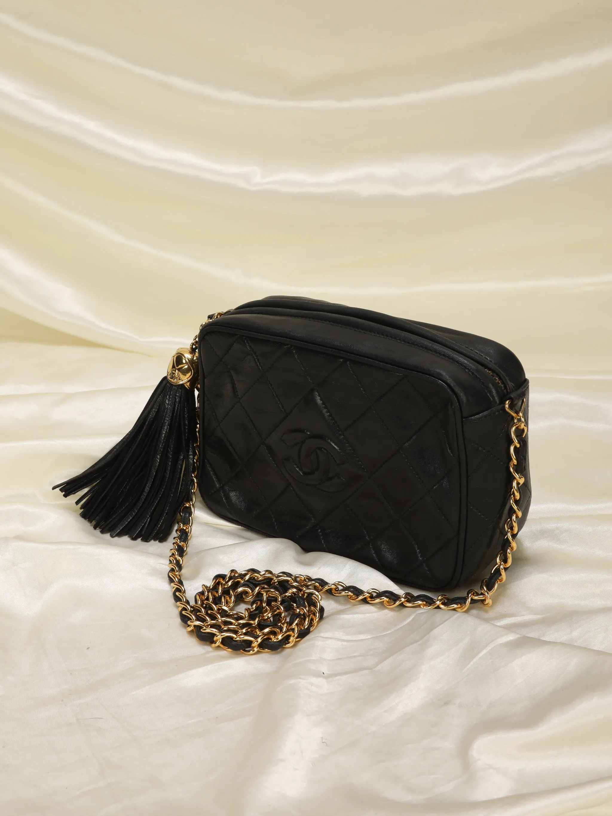 CL Timeless Lambskin Camera Bag