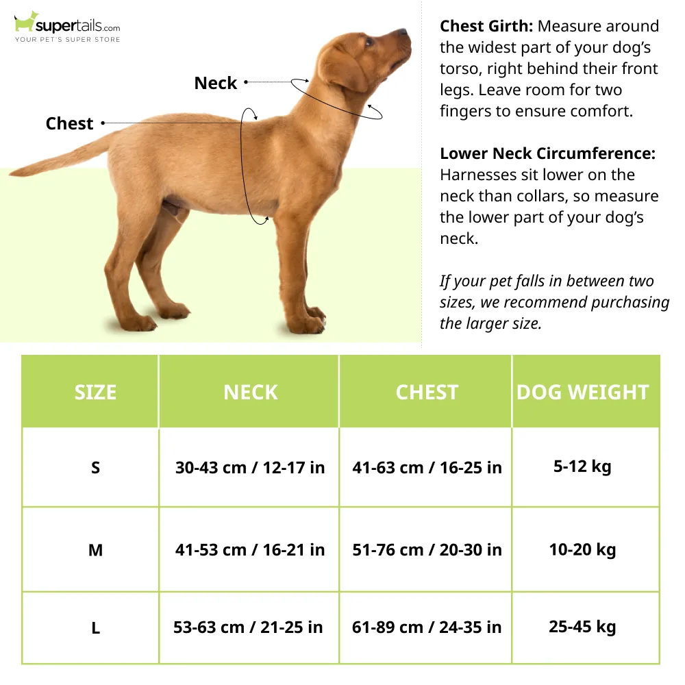 Vama Leathers Easy Fit Quick Wear Comfortable Body Harness for Dogs (Shiny Black)
