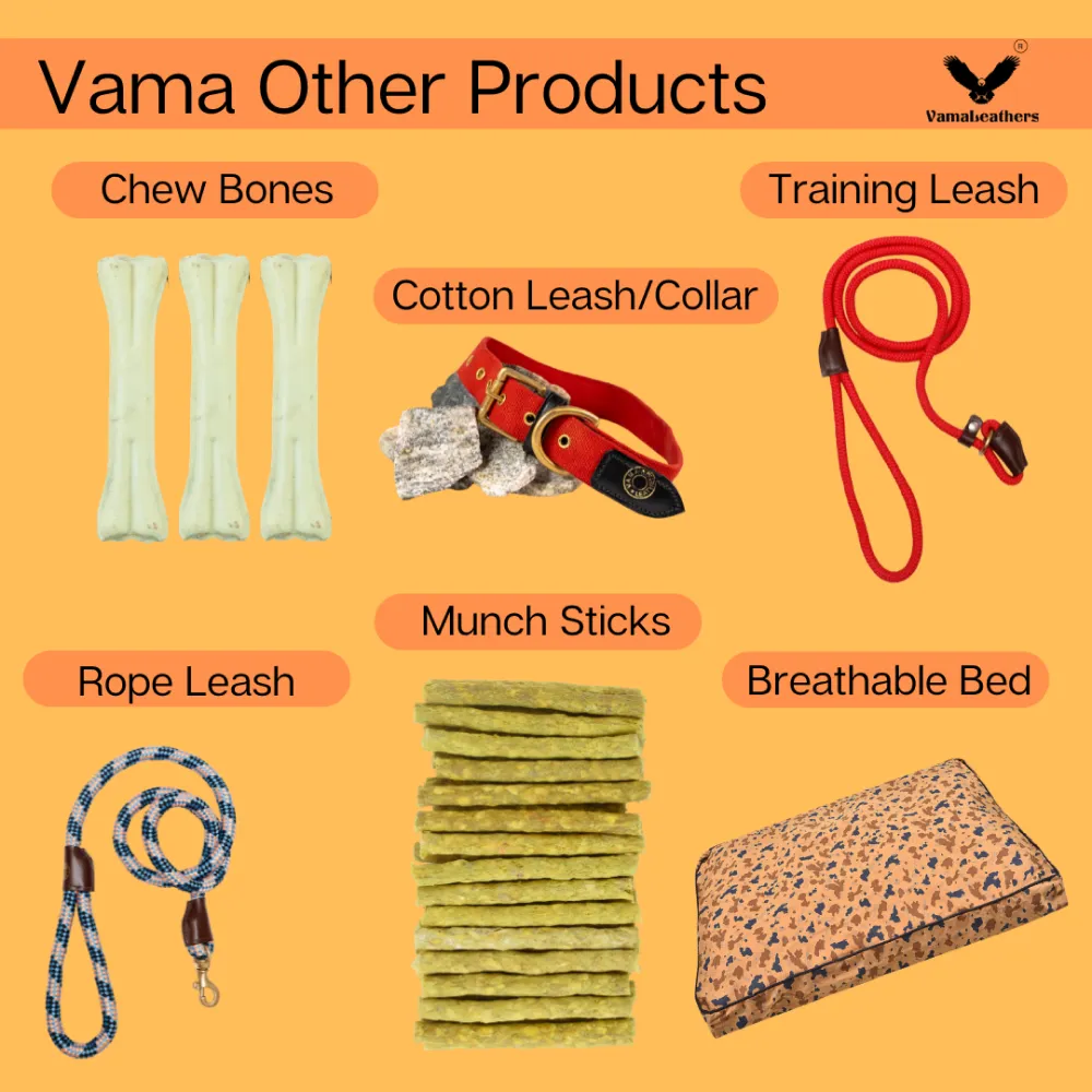 Vama Leathers Easy Fit Quick Wear Comfortable Body Harness for Dogs (Shiny Black)